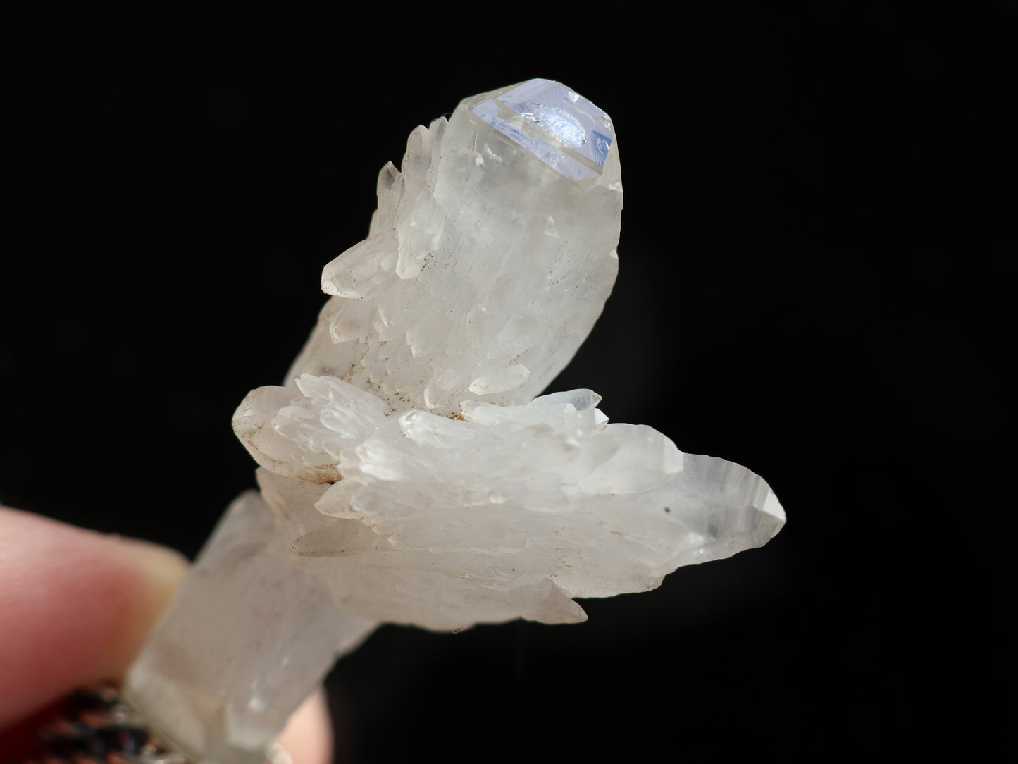 (チェーンデザイン)ガネーシュヒマール産エンジェル、エレスチャル水晶原石ペンダントトップPN:HCS-C14