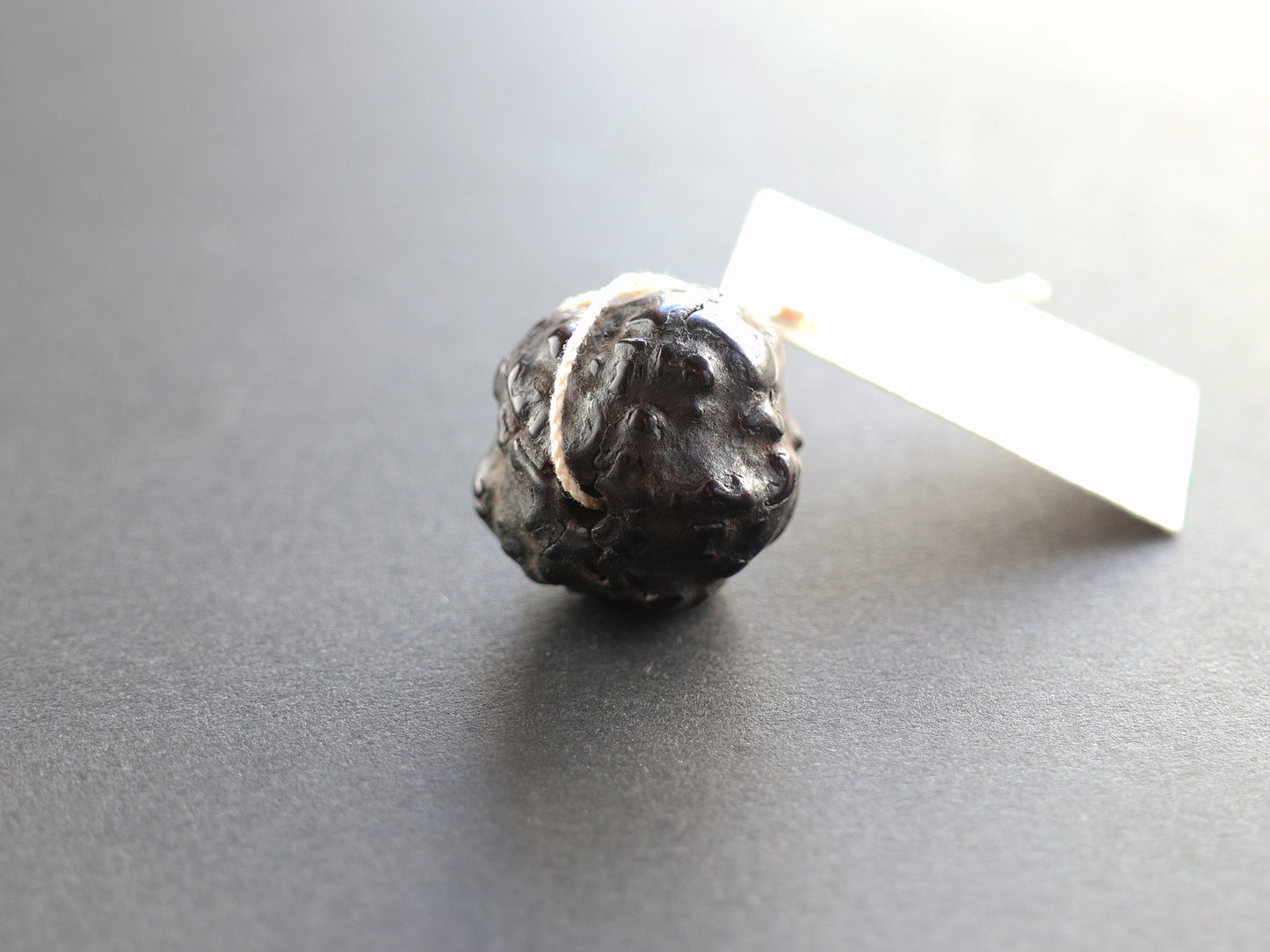 径19.4mm ネパール買付アンティークルドラクシャ 菩提樹の実 PN:RD-S4