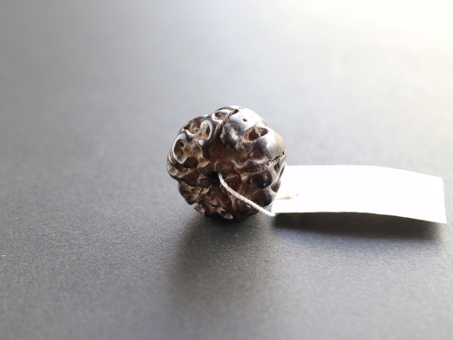 径20.8mm ネパール買付アンティークルドラクシャ 菩提樹の実 PN:RD-S11