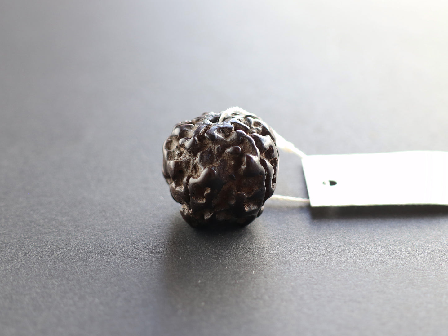 径19.7mm ネパール買付アンティークルドラクシャ 菩提樹の実 PN:RD-Q5