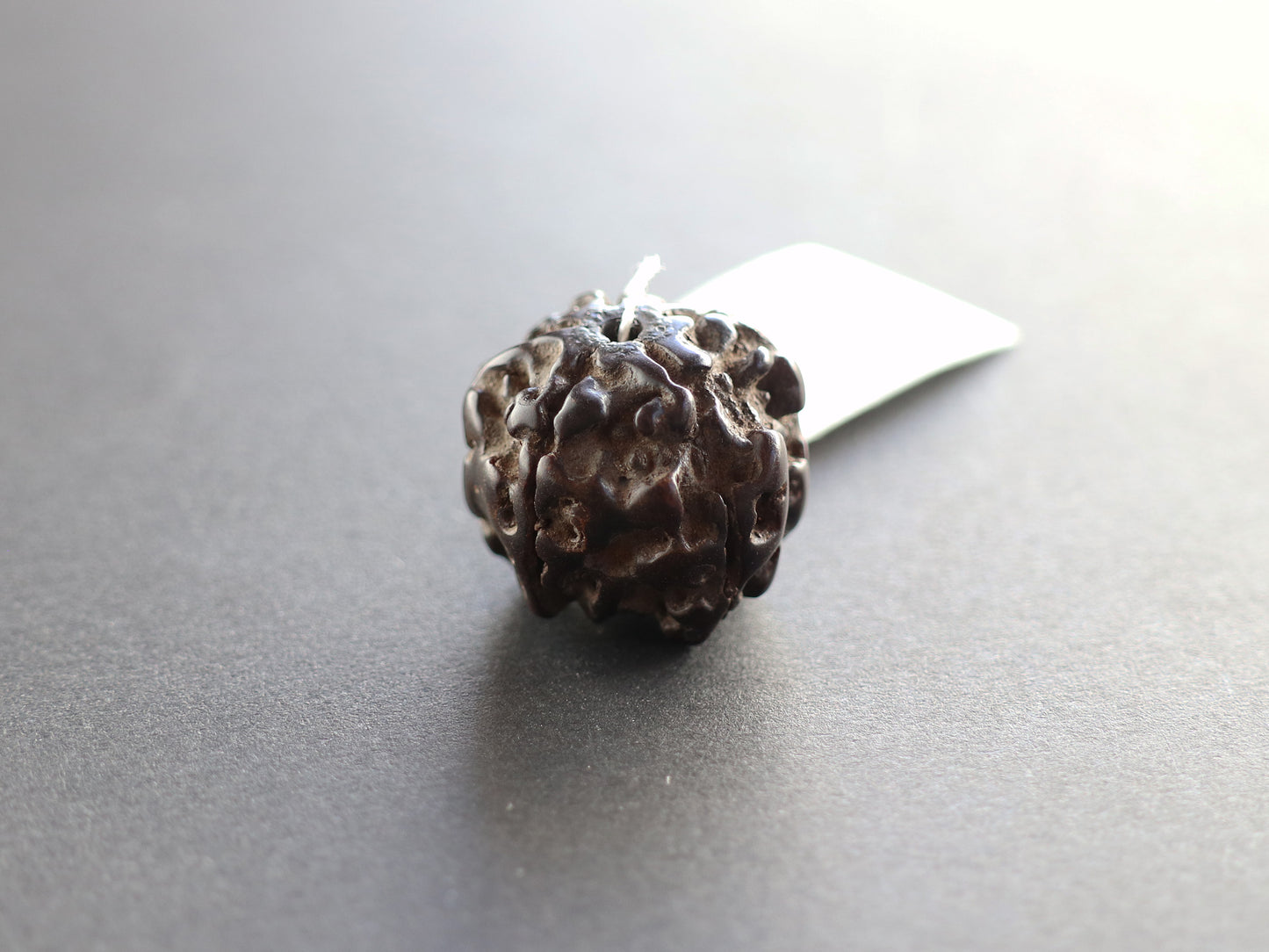 径19.7mm ネパール買付アンティークルドラクシャ 菩提樹の実 PN:RD-Q5
