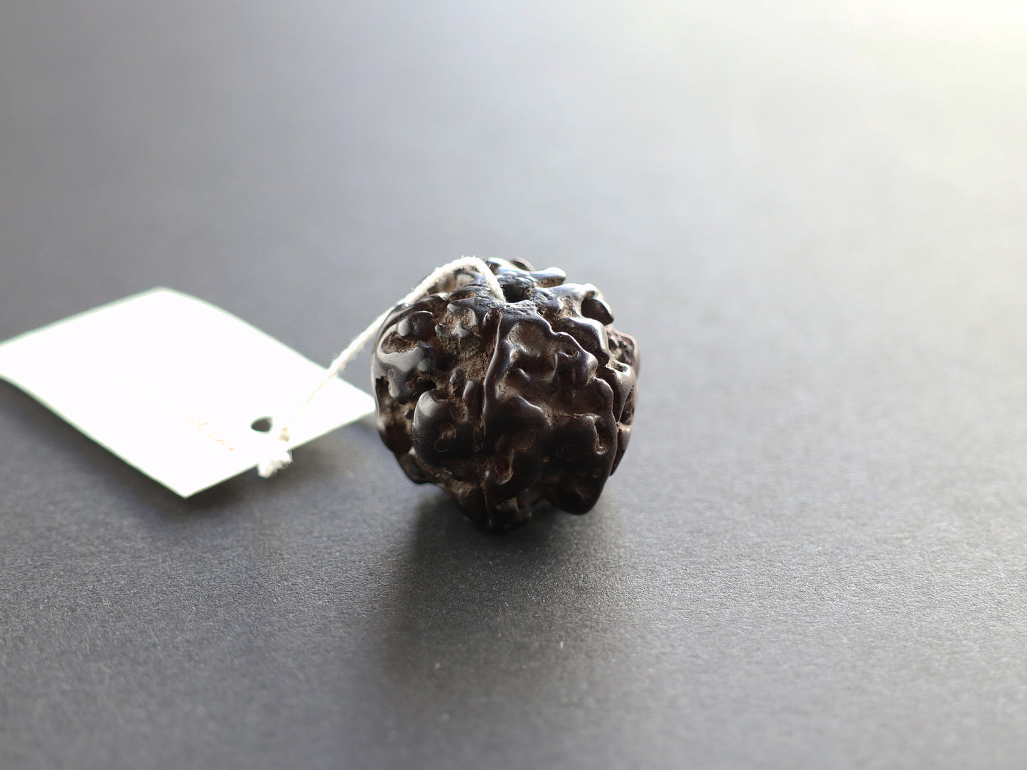 径19.7mm ネパール買付アンティークルドラクシャ 菩提樹の実 PN:RD-Q5