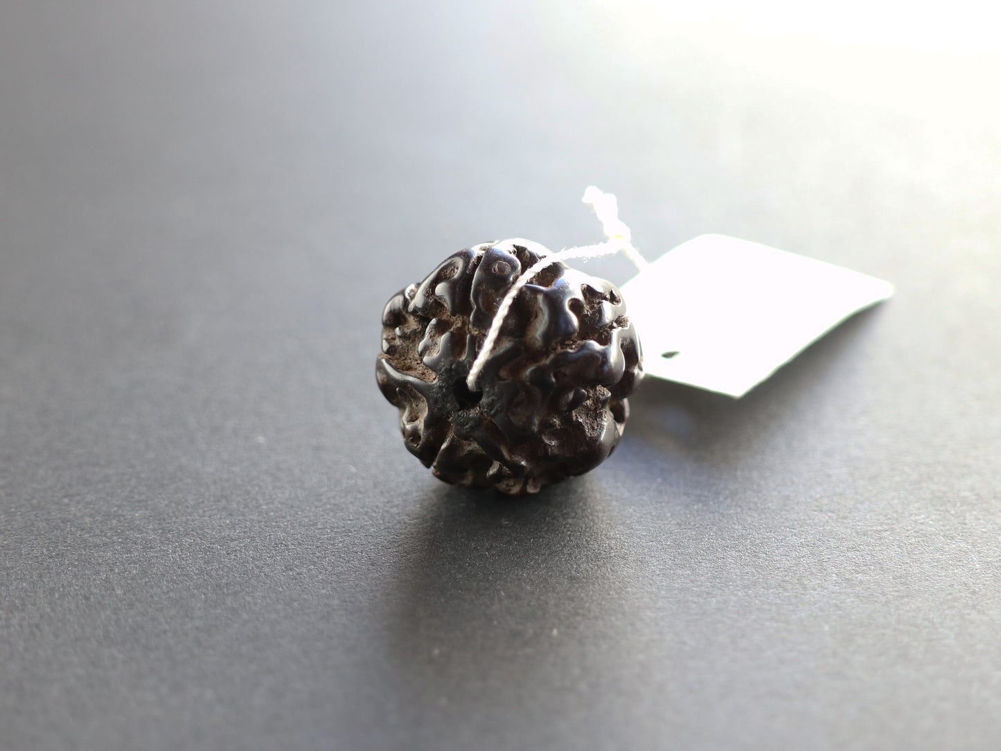 径19.7mm ネパール買付アンティークルドラクシャ 菩提樹の実 PN:RD-Q5