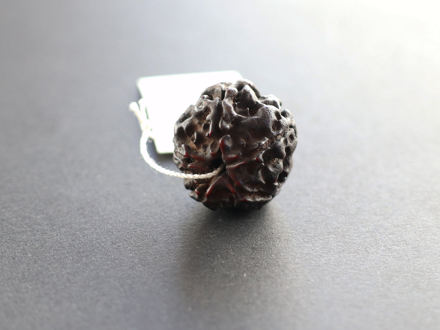 径19.7mm ネパール買付アンティークルドラクシャ 菩提樹の実 PN:RD-Q4