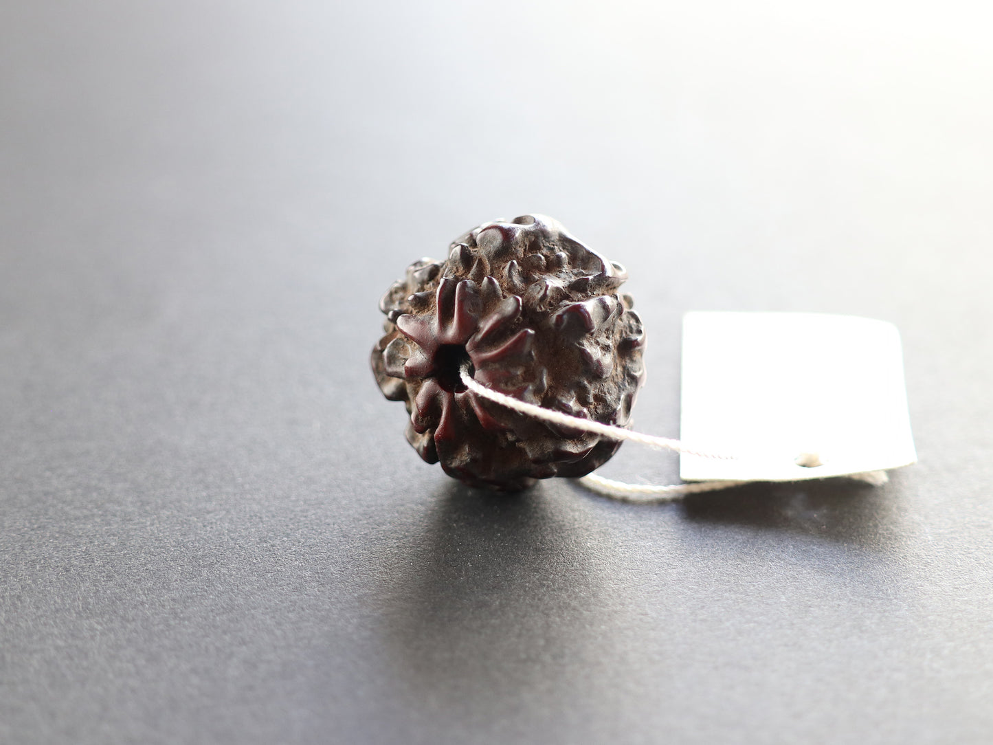 径20mm ネパール買付アンティークルドラクシャ 菩提樹の実 PN:RD-U1