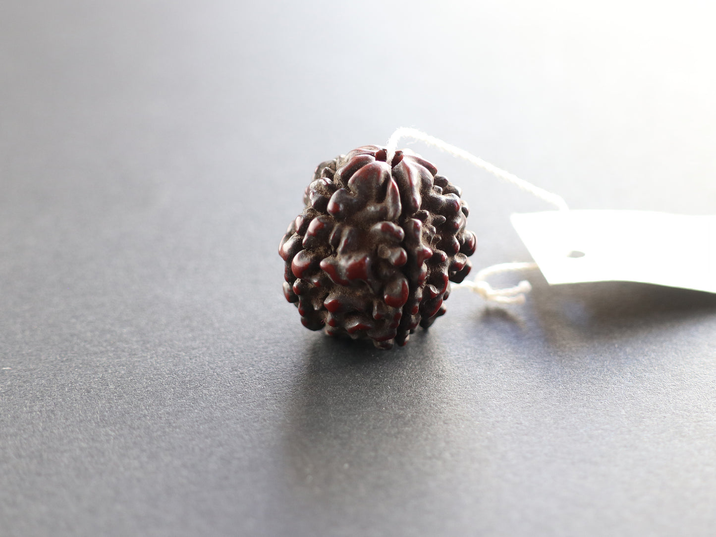 径19.9mm ネパール買付アンティークルドラクシャ 菩提樹の実 PN:RD-U2