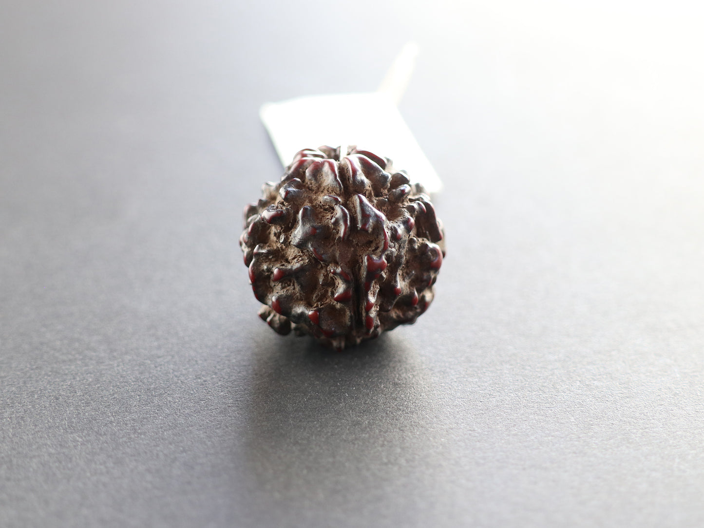 径22.2mm ネパール買付 特大 アンティークルドラクシャ 菩提樹の実 PN:RD-W3