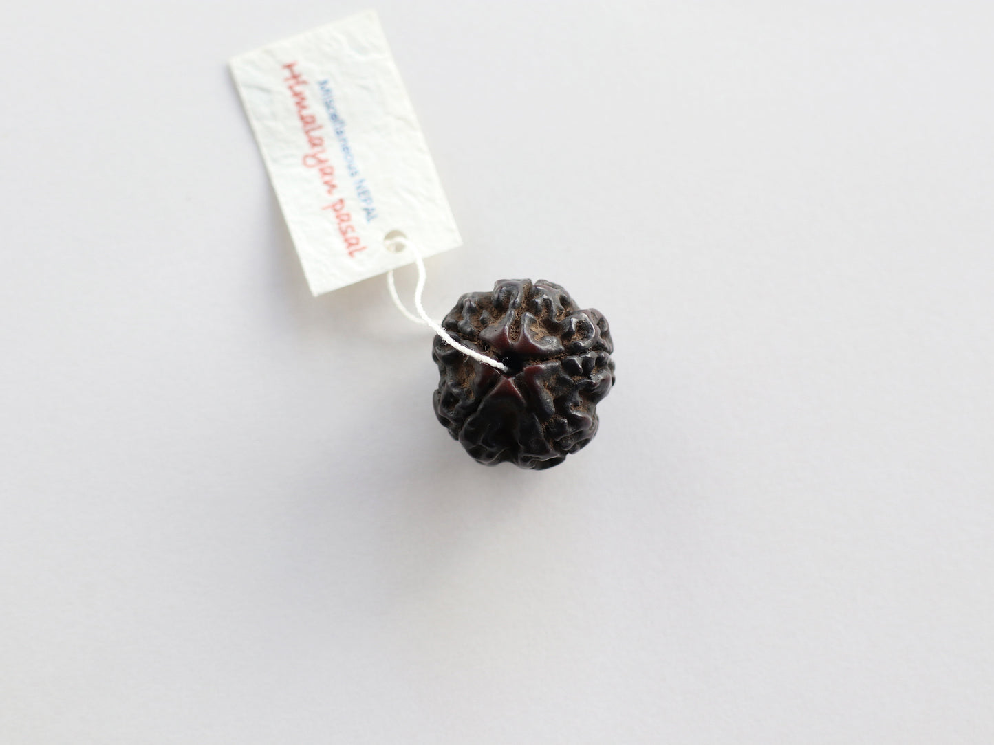 径21.2mm ネパール買付 特大 アンティークルドラクシャ 菩提樹の実 N:RD-W8